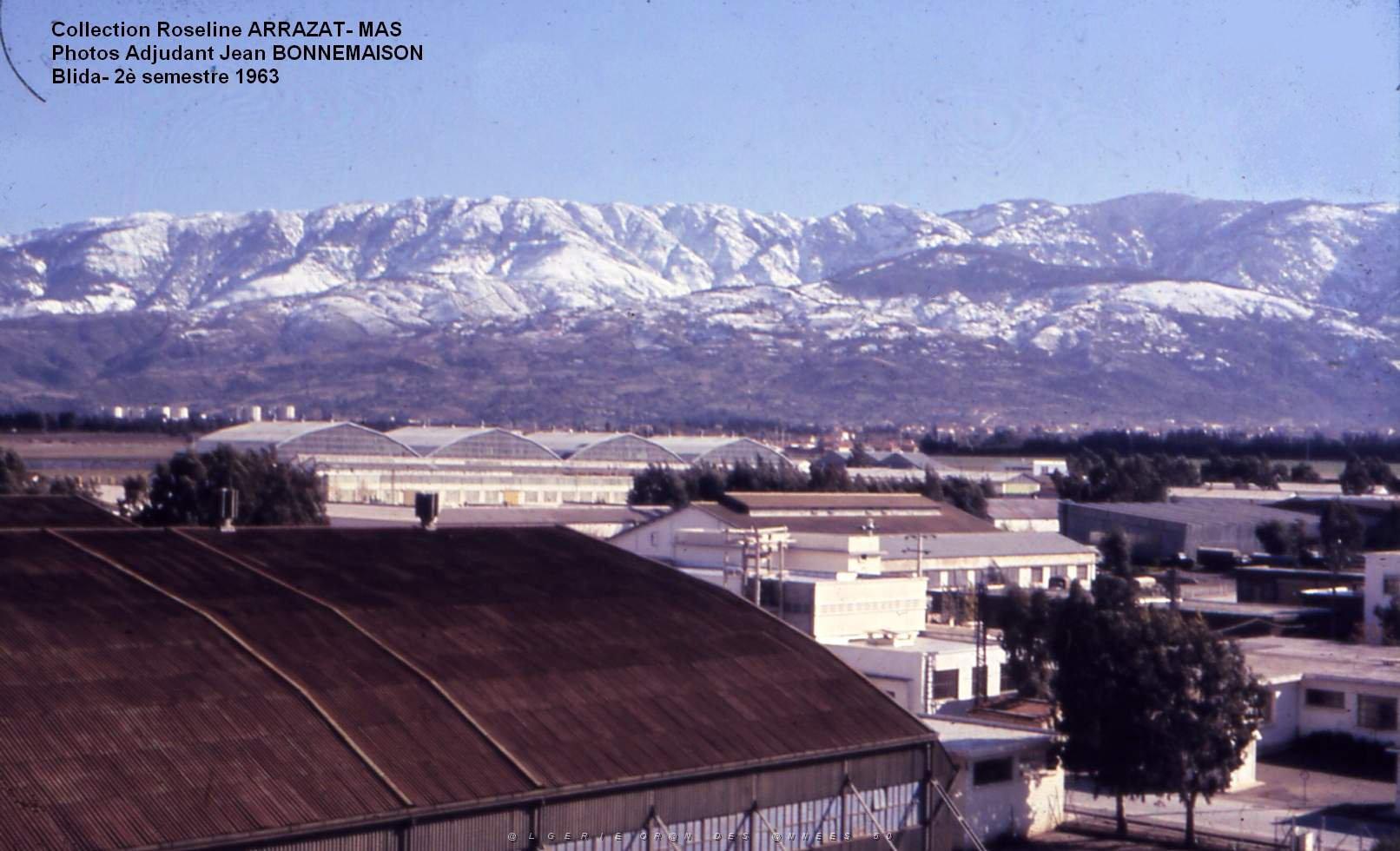 Mas- 142- Blida.jpg